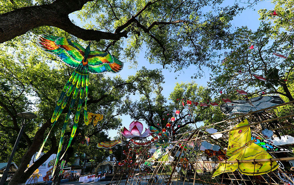 Capture the vibrant spectacle of Hue’s kite flying events