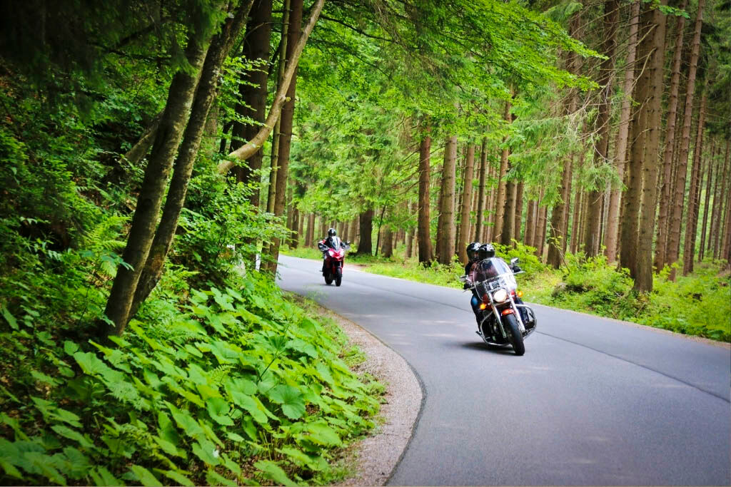 Capture the scenic beauty of Hoi An to Hue journey