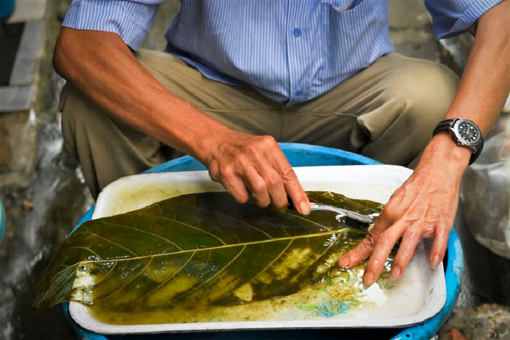 Capture the cultural charm of Hue’s nón lá making