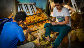 Capture the intricate artistry of Hue’s wood carving workshops
