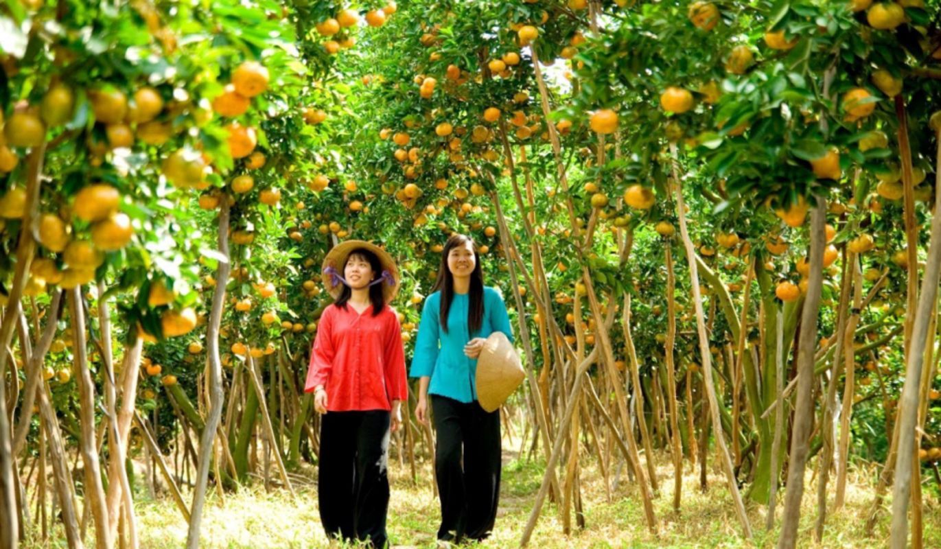 Start your Tien Giang Travel with serene vistas
