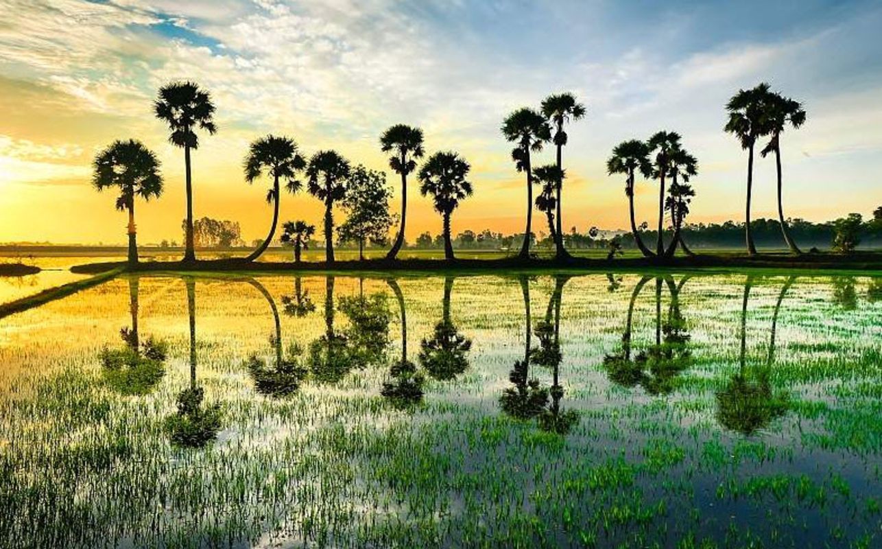 Capture the vibrant energy of An Giang’s riverine gem