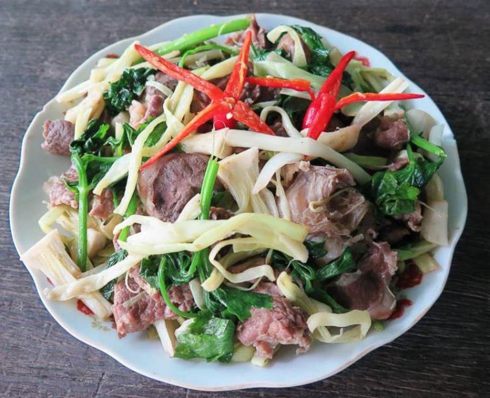 Seize the vibrant spirit of Ca Mau Travel