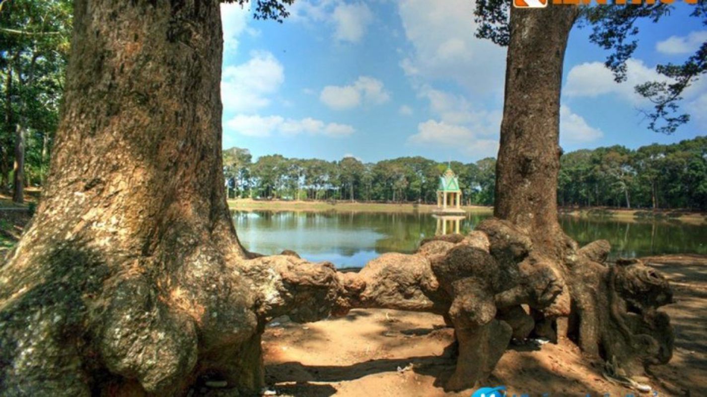 Start your Vinh Long Travel with serene vistas