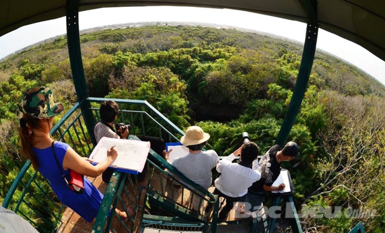 Dive into the serene charm of Ca Mau Travel