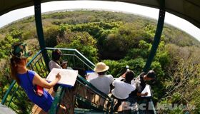 Dive into the serene charm of Ca Mau Travel