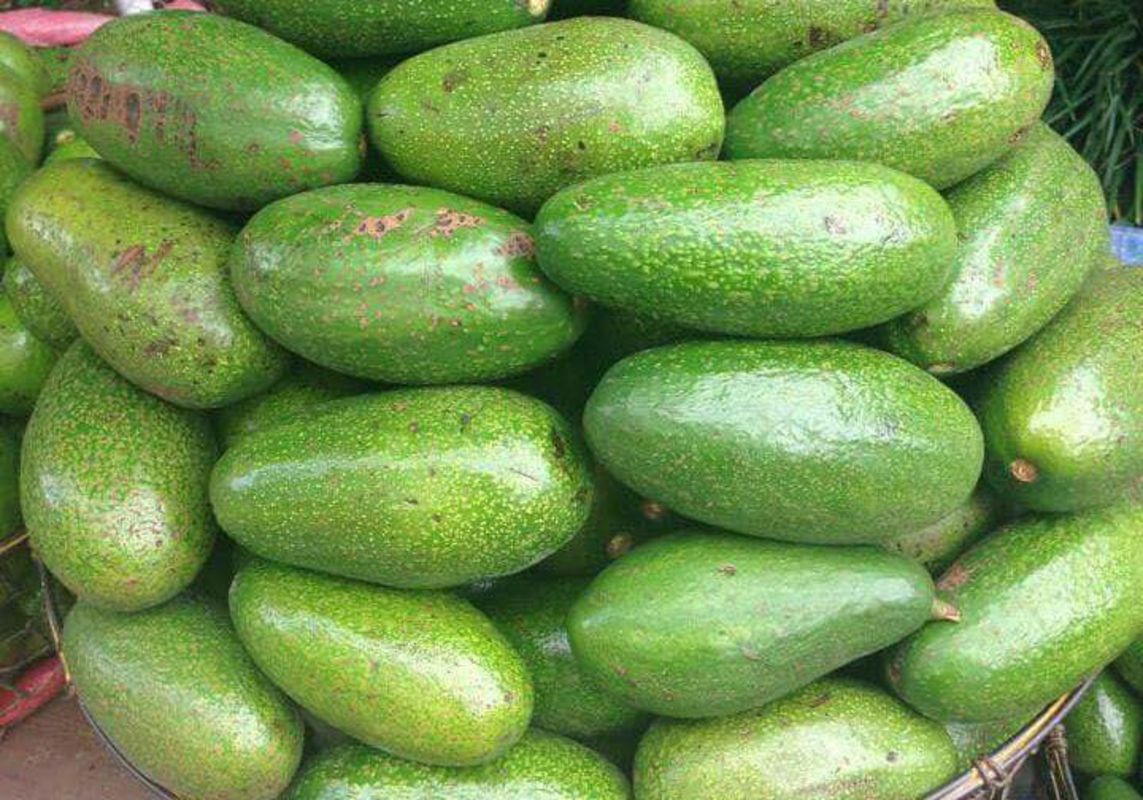 Experience Da Lat Tours with sustainable adventures