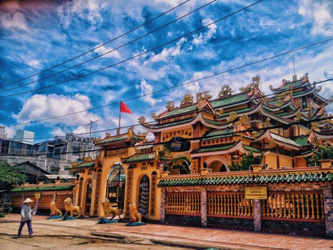 Photograph the vibrant allure of Dong Thap’s natural wonders