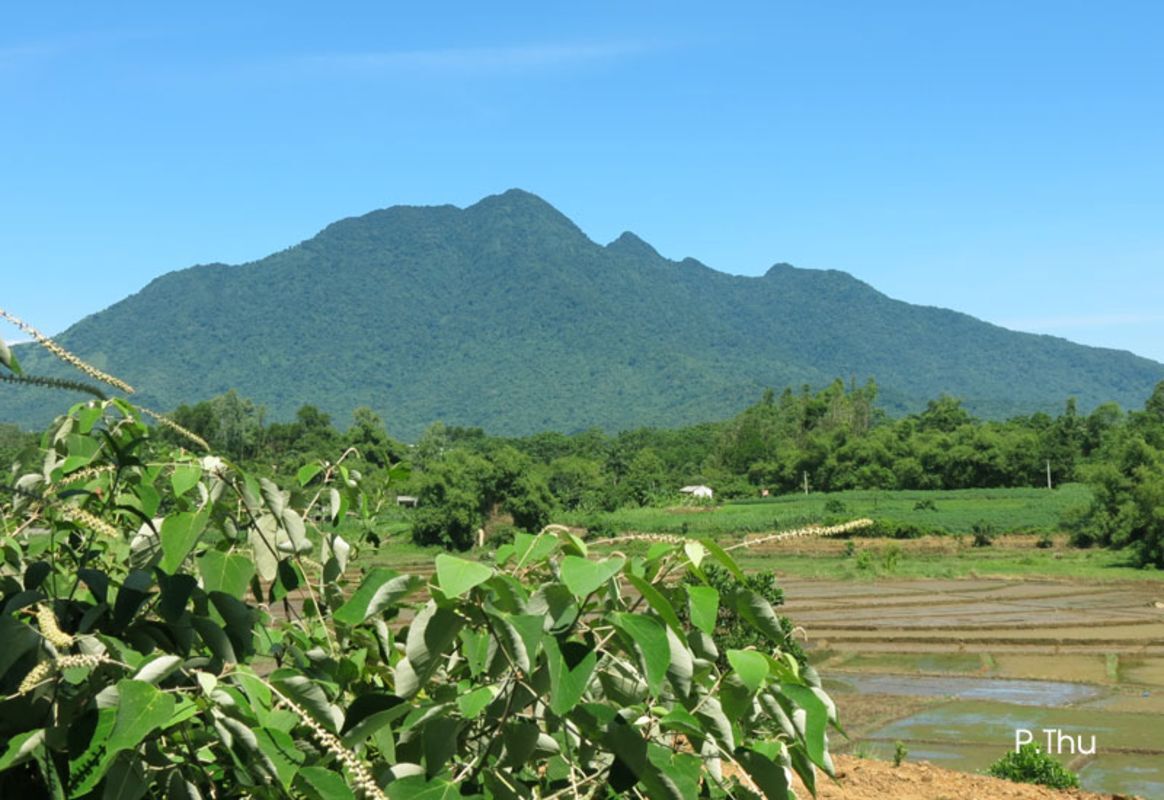 Start your Hanoi Travel with tranquil vistas