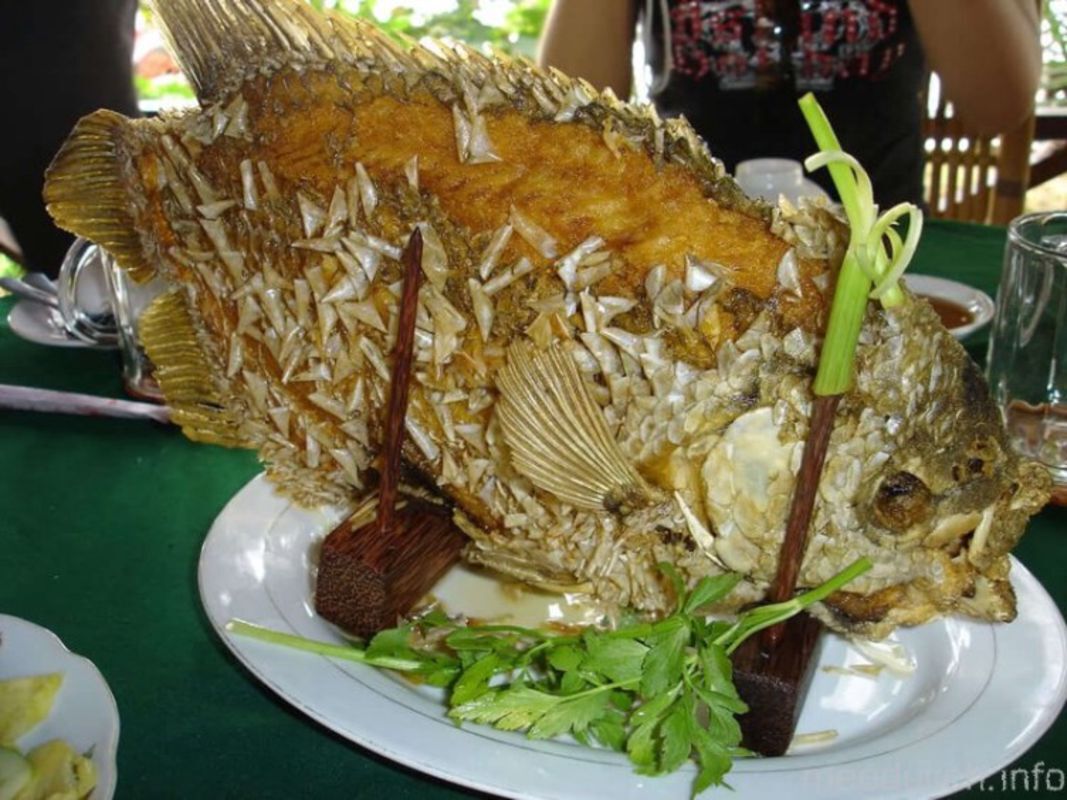 Photograph the culinary allure of Ben Tre’s heritage