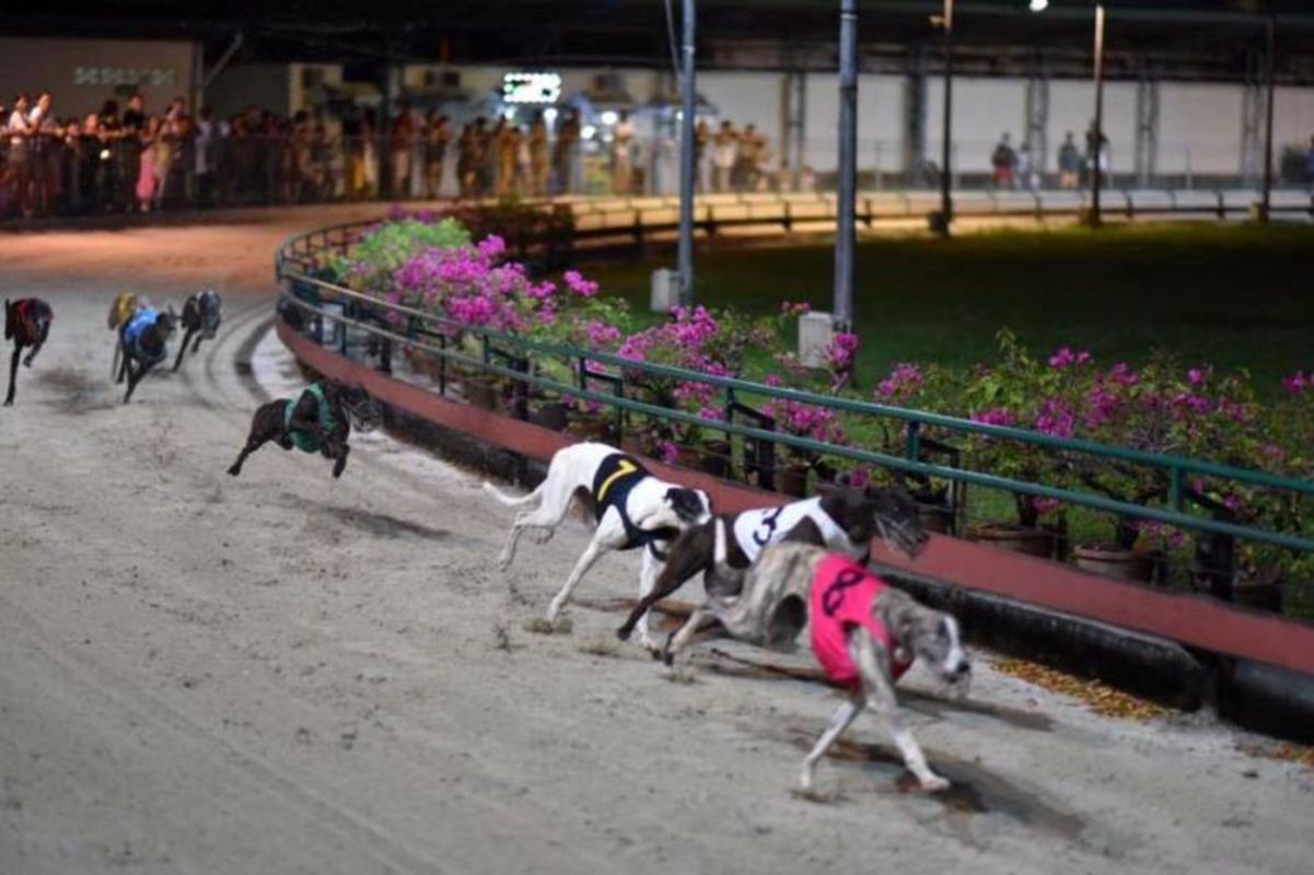 Seize the thrilling spirit of Vung Tau Travel