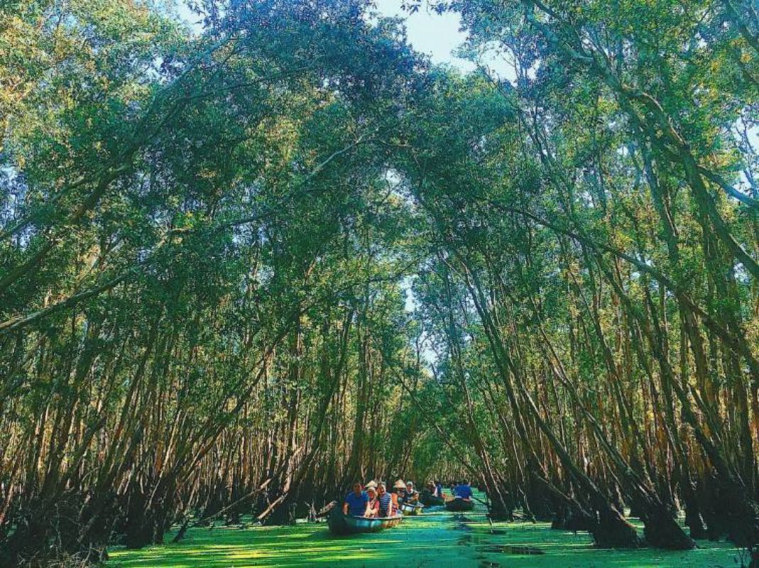Capture the biodiverse essence of An Giang’s natural gem