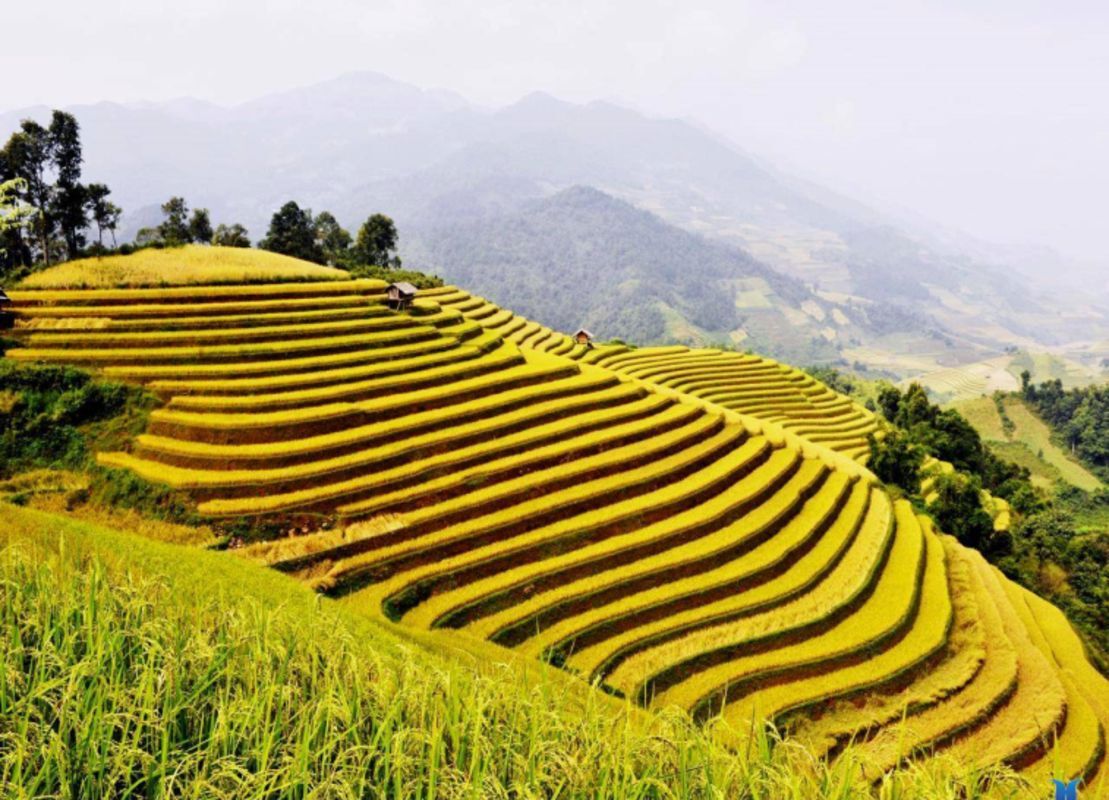Capture the stunning beauty of Hoang Su Phi’s natural gem