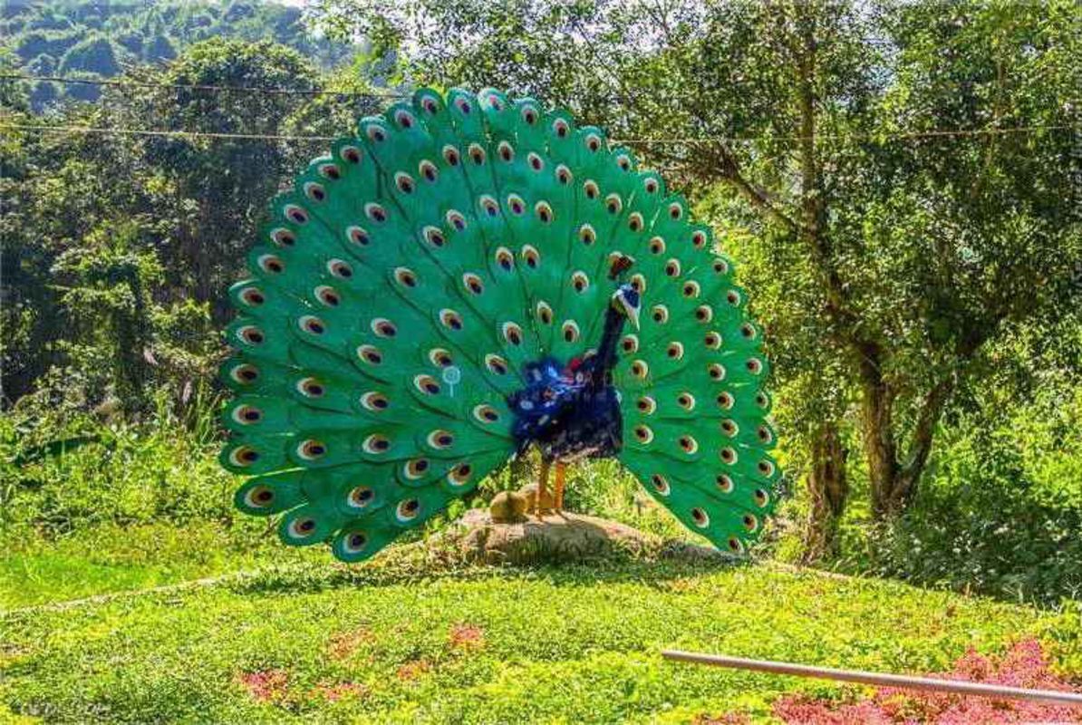 Dive into the authentic charm of Nha Trang Travel