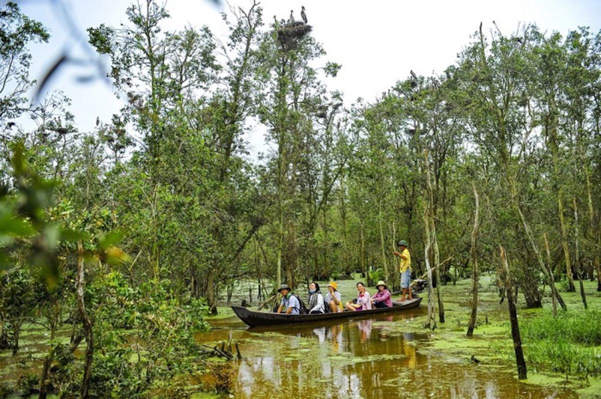 Discovering Dong Thap province on a boat trip