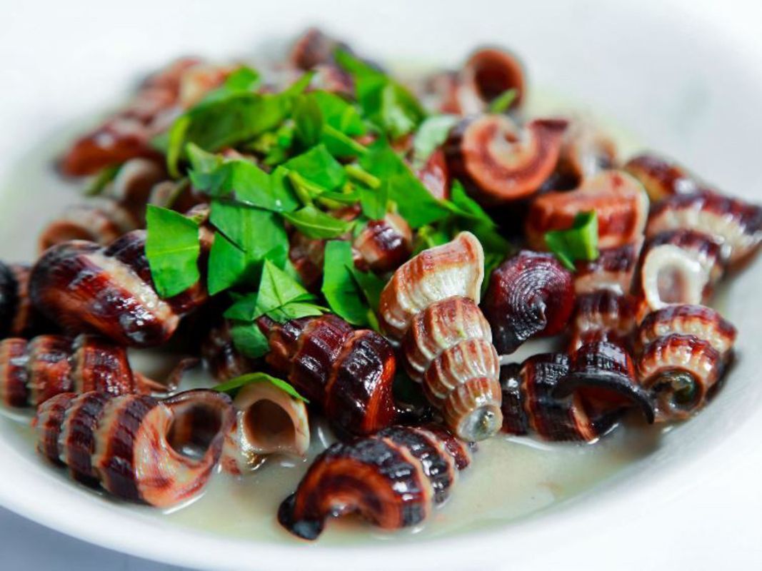 Capture the savory essence of Can Tho’s culinary gem