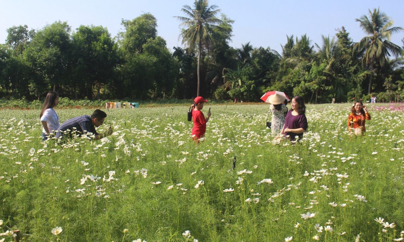 Experience Mãn Đình Hồng Tours with sustainable adventures