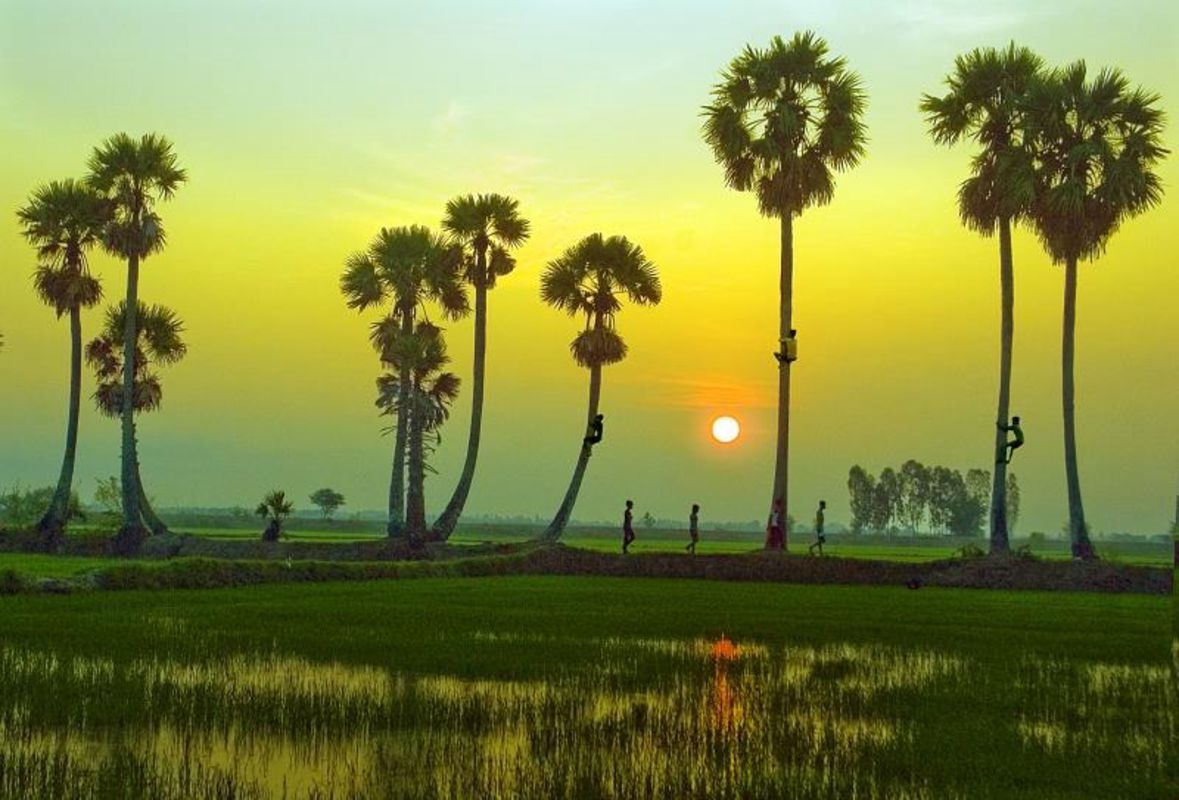 Capture the cultural energy of Chau Doc’s festive gem