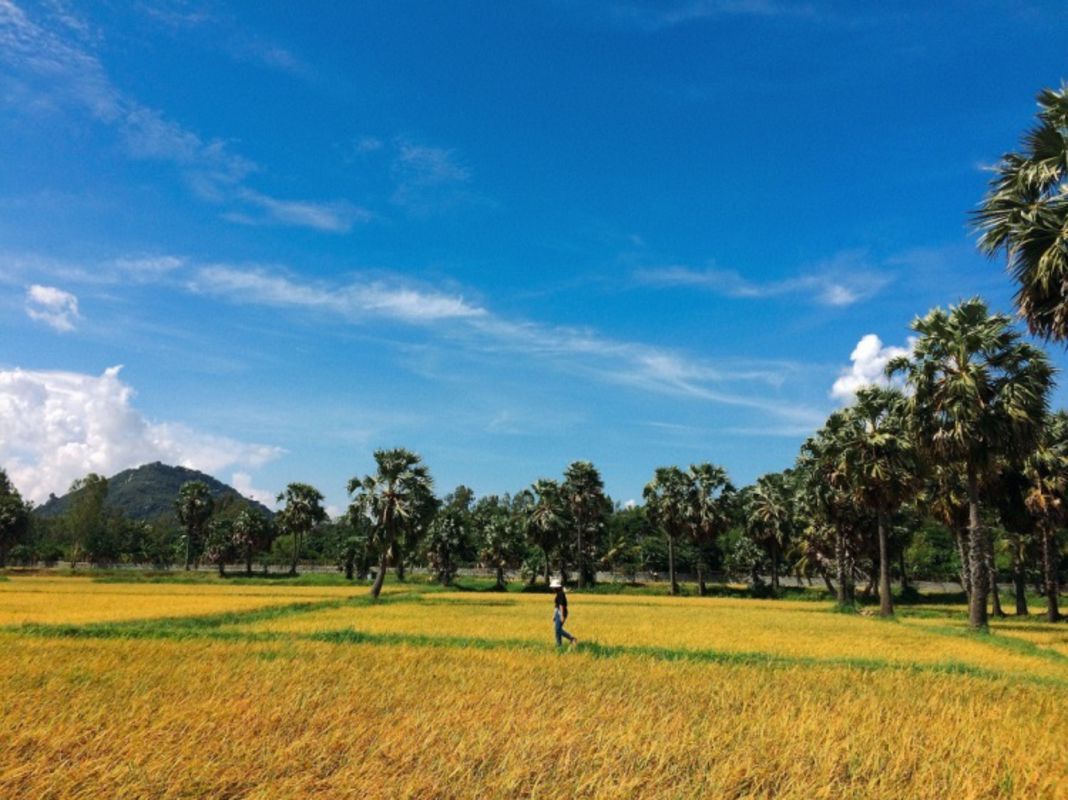 Experience An Giang Tours with sustainable adventures
