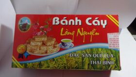 Photograph the rustic allure of Thai Binh’s heritage