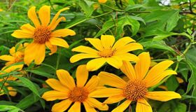 Photograph the cultural allure of Hanoi’s heritage