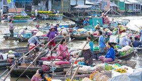 Dive into the lively charm of Can Tho Travel