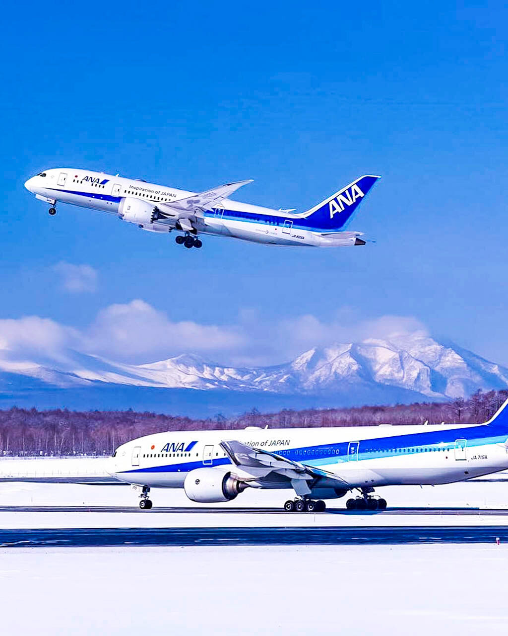 Airline-ANA Airlines flying from Oslo to Bali