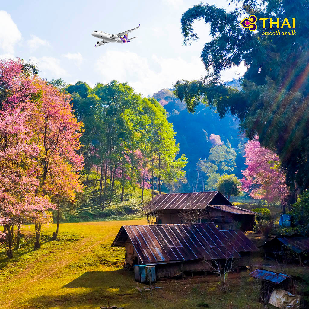 Airline-Thai Airways