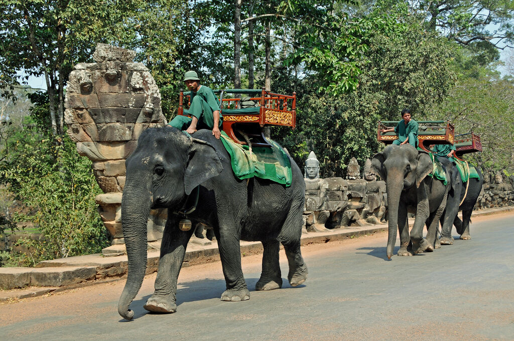 Immerse in Angkor’s awe-inspiring heritage