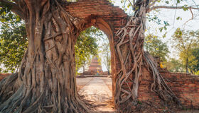 Ayutthaya Wat Phra Ngam Gate