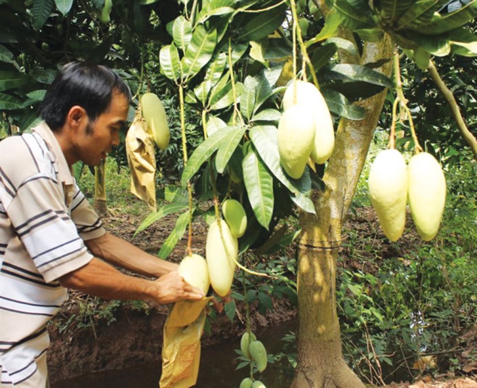 Seize the flavorful spirit of An Giang Travel