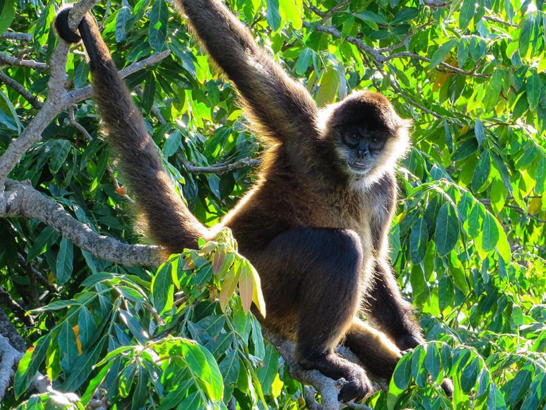 Photograph the natural allure of Phu Quoc’s wilderness