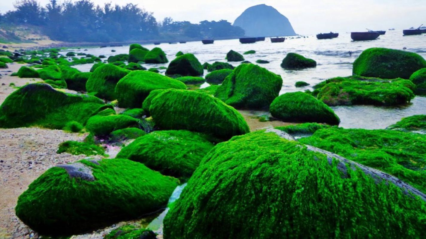Experience Yen Islet Tours with sustainable adventures