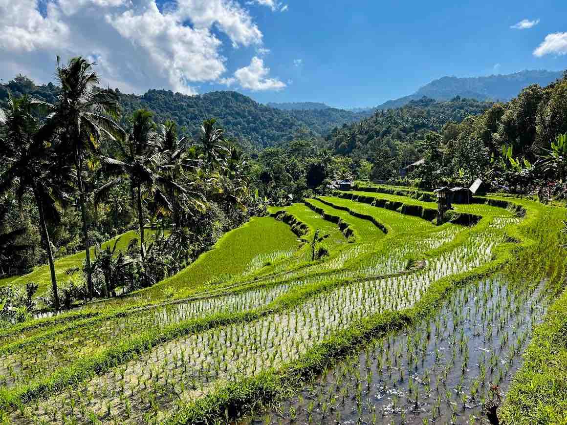 Capture the stunning beauty of Bali’s cultural landmarks