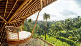 Bali Terraced Rice Fields