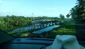 Bali Terraced Rice Fields