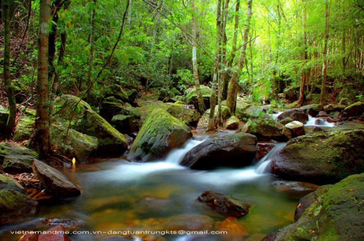 Learn Phu Quoc’s heritage with expert insights
