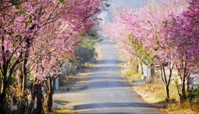 Dive into the cultural charm of Buon Ma Thuot Travel