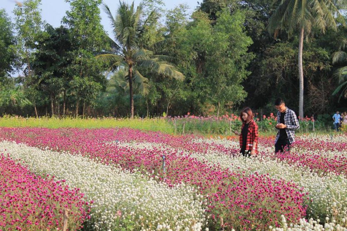 Capture the vibrant beauty of Mãn Đình Hồng’s floral gem