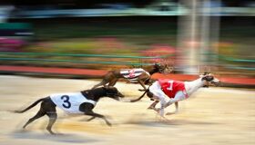 Photograph the vibrant allure of Vung Tau’s nightlife