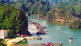 Dive into the serene beauty of Cat Ba Travel