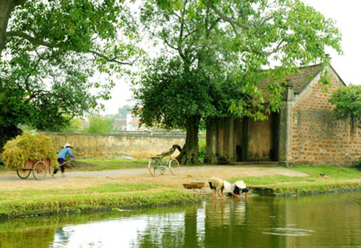 Visit Son Tay Hanoi in Autumn