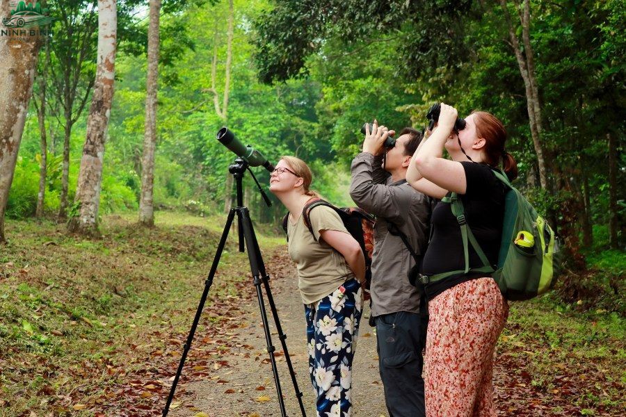 Experience Vietnam’s heritage with guided tours