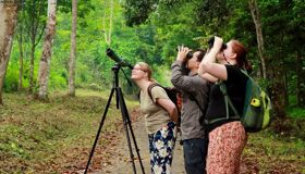 Bird Watching Cuc Phuong National Park