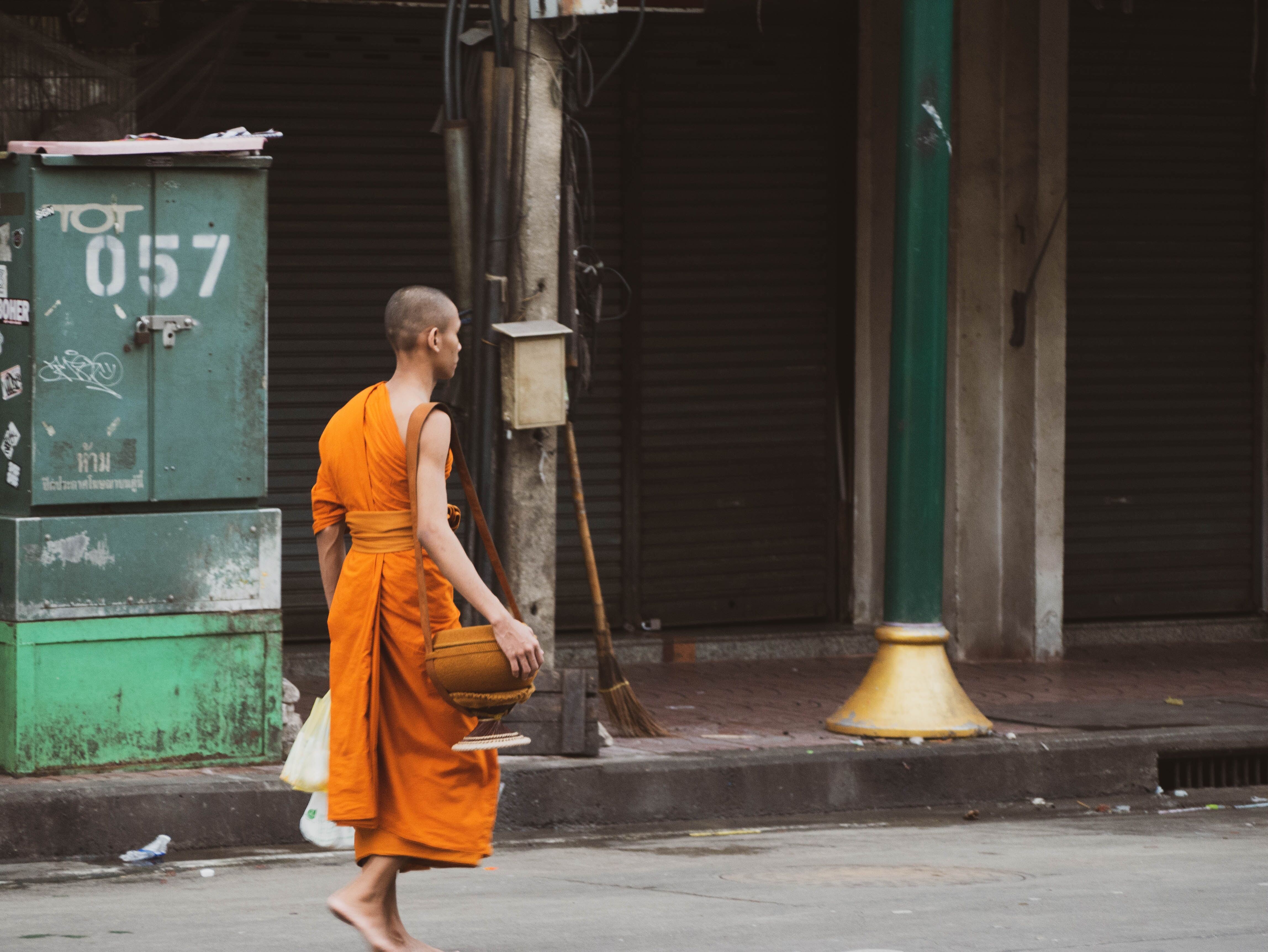 Experience Laos’ heritage with guided tours