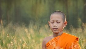 Buddhist Monk sitting to study