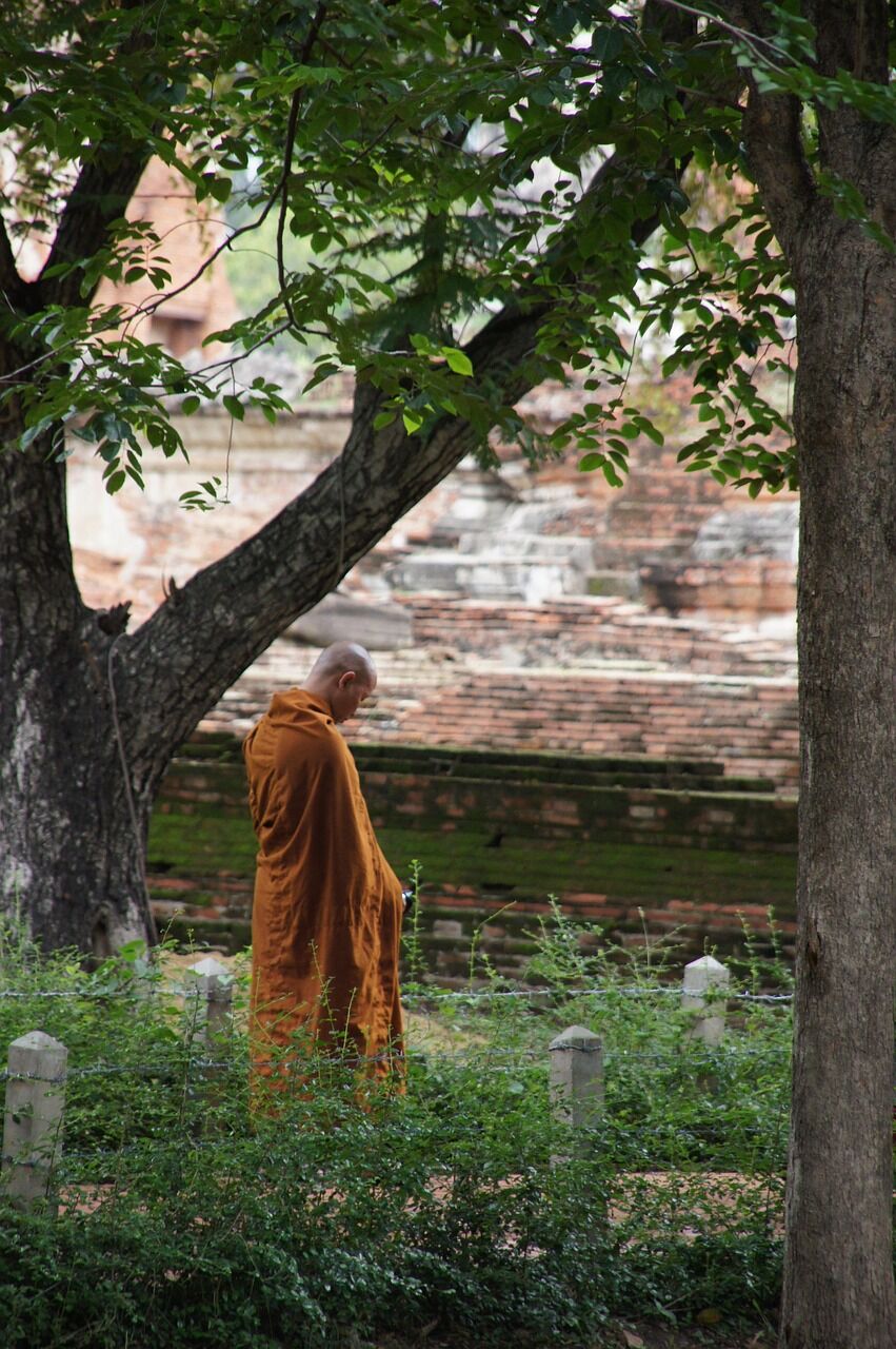 Experience Laos’ heritage with guided tours