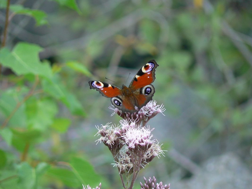 Experience Ninh Binh Tours with sustainable adventures