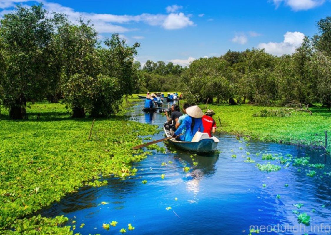 Photograph the biodiverse allure of An Giang’s wetlands