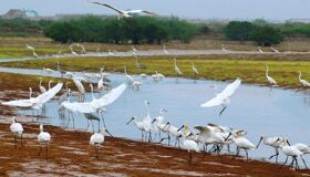 Dive into the serene charm of Nam Dinh Travel